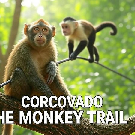 Hotel Corcovado The Monkey Trail Drake Bay Zewnętrze zdjęcie